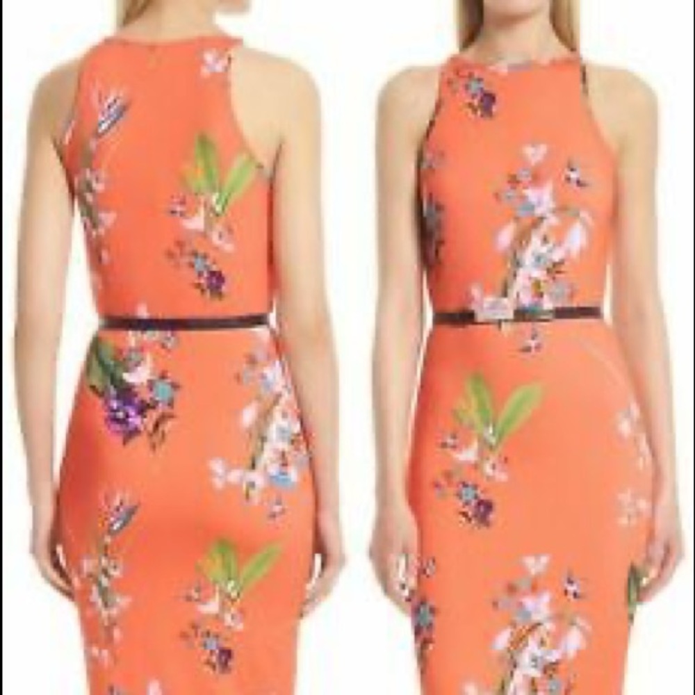 Ted Baker Midi Dress